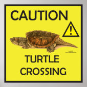 Vorsicht Schnappschuss Schildkröte Crossing Poster (Vorne)