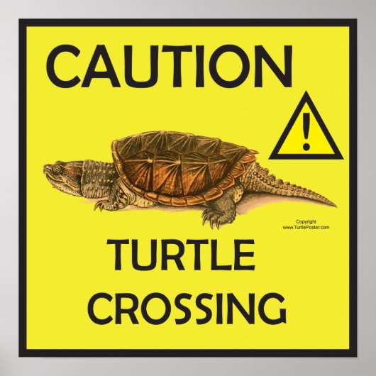 Vorsicht Schnappschuss Schildkröte Crossing Poster (Vorne)