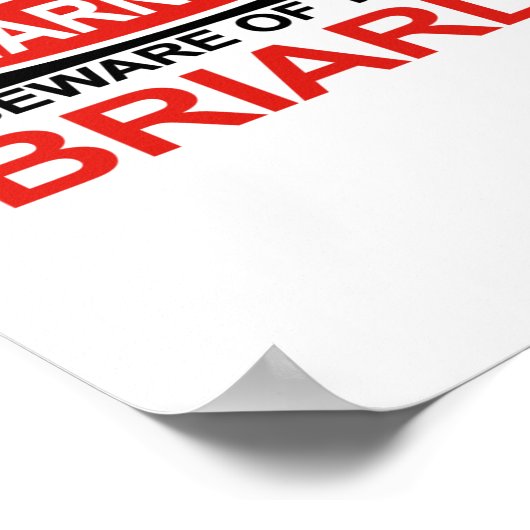 Vorsicht vor Briard Poster (Ecke)