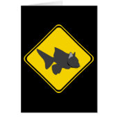 Vorsicht vor Catfish Crossing! (Vorne)