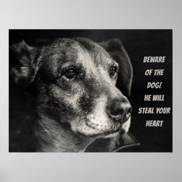 Vorsicht vor dem Hund, Haustier Foto Poster