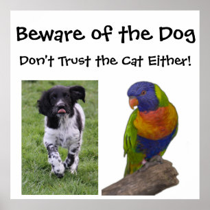 Vorsicht vor dem Hund. Traue auch der Katze nicht. Poster