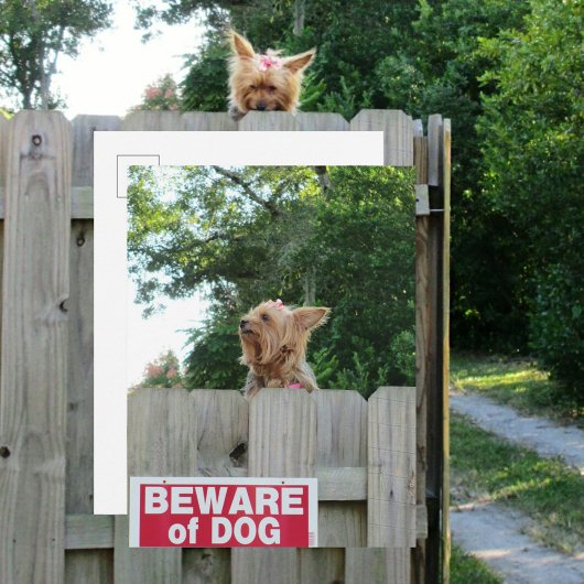 Vorsicht vor dem Niedlichen kleinen Yorkie Dog Postkarte