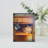 Vorsicht vor der Katzenpostkarte Postkarte (Stehend Vorderseite)