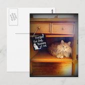 Vorsicht vor der Katzenpostkarte Postkarte (Vorne/Hinten)