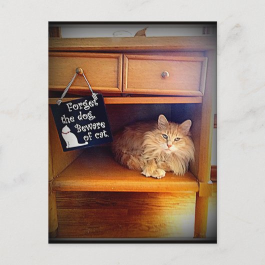 Vorsicht vor der Katzenpostkarte Postkarte (Vorderseite)
