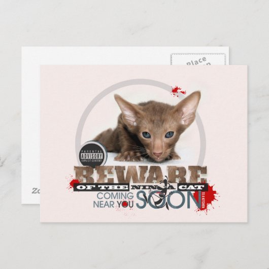 Vorsicht vor der Ninja-Katze Postkarte (Vorne/Hinten)