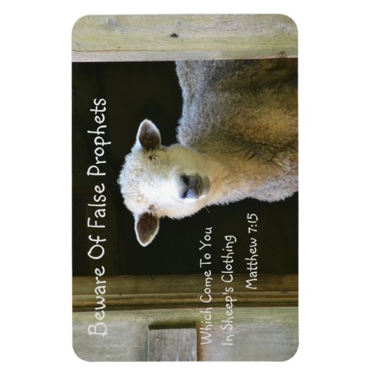 Vorsicht vor falschen Propheten Magnet (Vertikal)