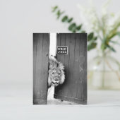 Vorsicht vor Hund Postkarte (Stehend Vorderseite)