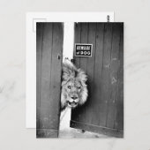 Vorsicht vor Hund Postkarte (Vorne/Hinten)
