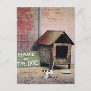 Vorsicht vor Hundeschild mit kleinem Hund Postkarte