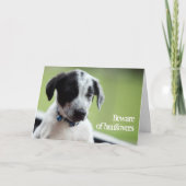 Vorsicht vor Kater Karte (Vorderseite)