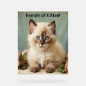 Vorsicht vor Kitten Niedlich Ragdoll Kitty Guardia Acrylschild (Vorderseite)