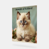 Vorsicht vor Kitten Niedlich Ragdoll Kitty Guardia Acrylschild (Winkel)