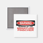 Vorsicht vor Miniatur Pinscher Magnet (Vorderseite/Rückseite)