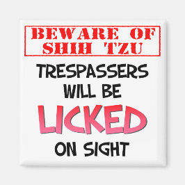 Vorsicht vor Shih Tzu (Weiß), 2 Zoll Square Magnet