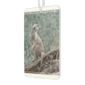 vorsichtig Meerkat Autolufterfrischer (Links)