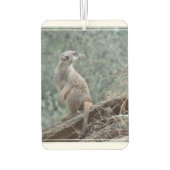 vorsichtig Meerkat Autolufterfrischer (Rückseite)
