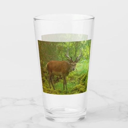 vorsichtig Red Deer Stag Glas (Rückseite)
