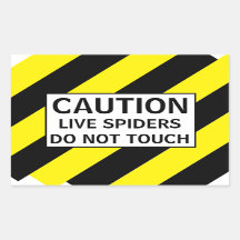 VORSICHTIGE LEBENSSPIDER