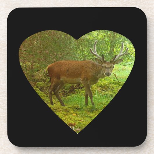 Vorsichtiges Red Deer Stag Hartkunststoff 6 Unters Getränkeuntersetzer (Vorderseite)