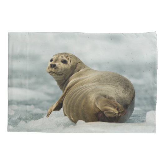 vorsichtiges Siegel Kissenbezug (Rückseite-Links)