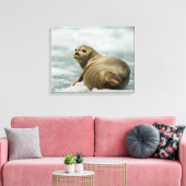 vorsichtiges Siegel Leinwanddruck (Insitu (Wohnzimmer))