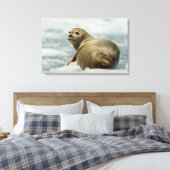 vorsichtiges Siegel Leinwanddruck (Insitu (Schlafzimmer))