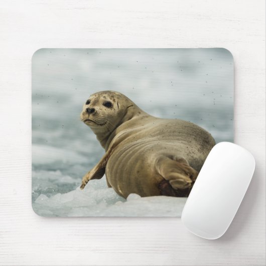 vorsichtiges Siegel Mousepad (Mit Mouse)