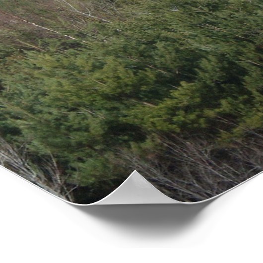 Vorsichtsposter Poster (Ecke)