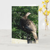 Vorstadt Wild Türkei Karte (Gelbe Blume)