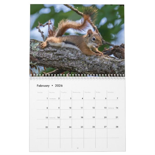 Vorstädter Sommer Kalender (Feb 2026)