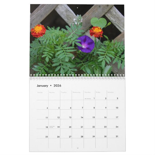 Vorstädter Sommer Kalender (Jan 2026)