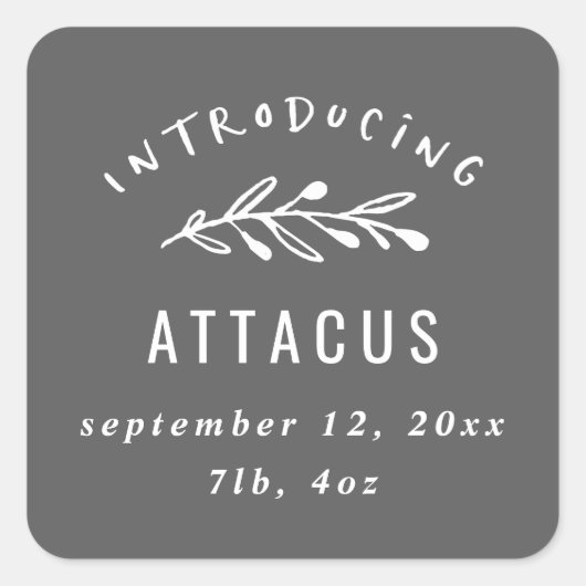 Vorstellen von Niederlassungsgeburtsmitteilung Quadratischer Aufkleber (Vorderseite)