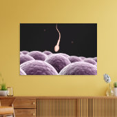 Vorstellung der Fertilisation Leinwanddruck (Insitu (Wohnzimmer))