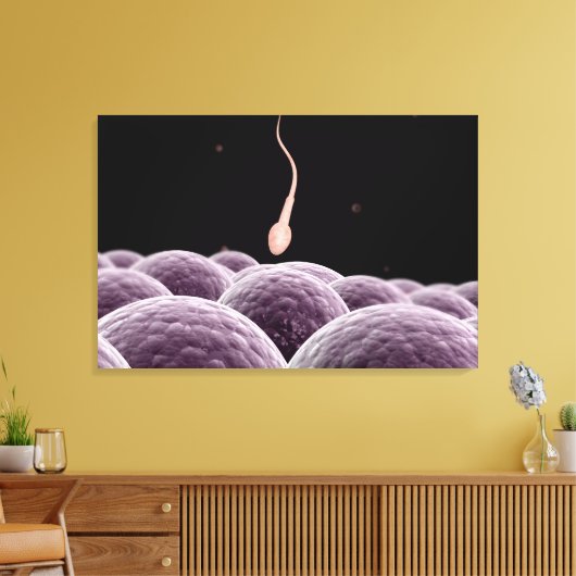 Vorstellung der Fertilisation Leinwanddruck (Insitu (Wohnzimmer))