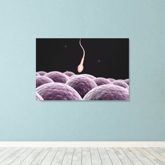 Vorstellung der Fertilisation Leinwanddruck (Insitu (Holzboden))