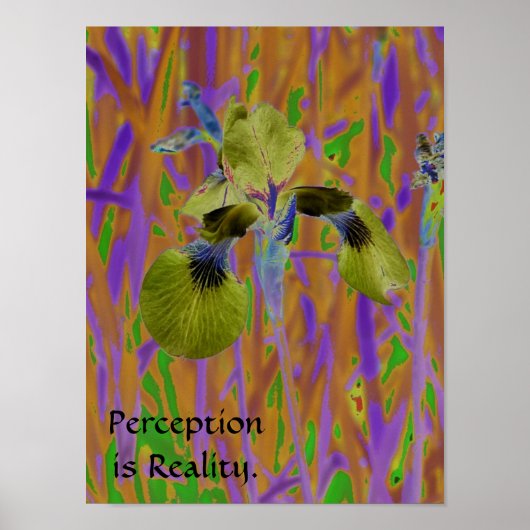 Vorstellung ist Wirklichkeit Plakat-Iris Poster (Vorne)