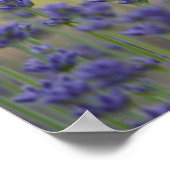 Vorstellung Poster (Ecke)