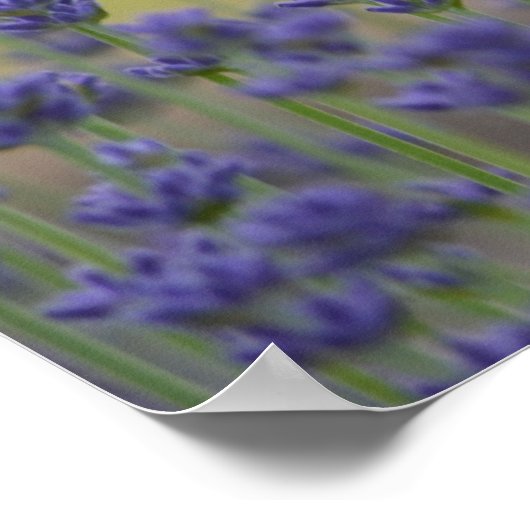 Vorstellung Poster (Ecke)