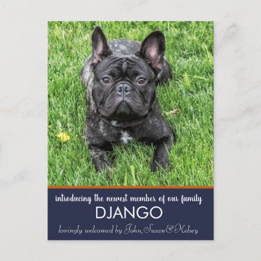 "Vorstellung" unserer neuen Hundekündigung Postkarte (Vorderseite)