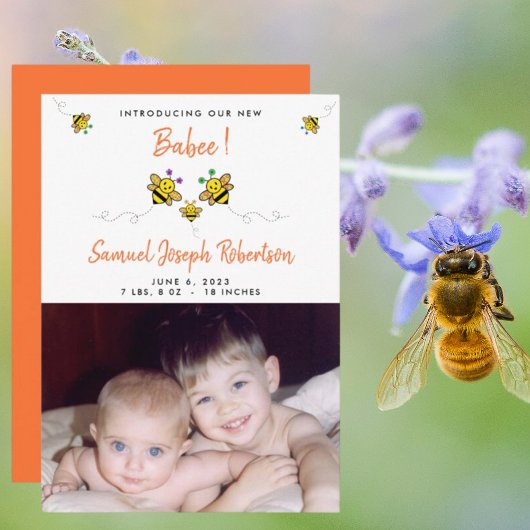 Vorstellung unseres neuen Babee Bee Foto Ankündigung