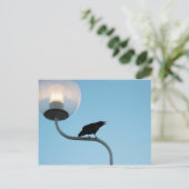 Vortrag der Crow Postkarte (Stehend Vorderseite)