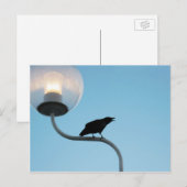 Vortrag der Crow Postkarte (Vorne/Hinten)