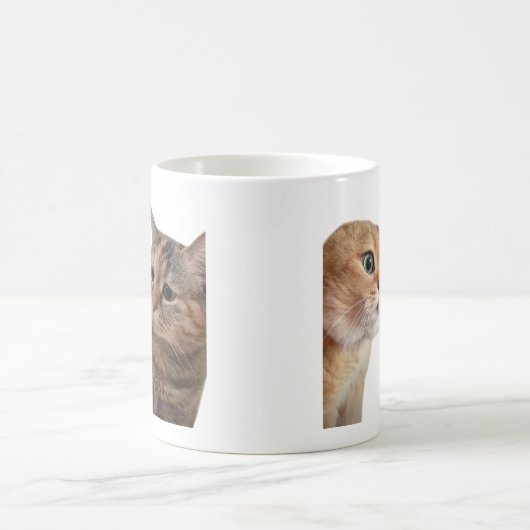 Vortrag Katzen Meme Tasse doppelt (Mittel)