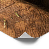 Vortrag von Elefanten in Chiang Mai Thailand Poster (Ecke)