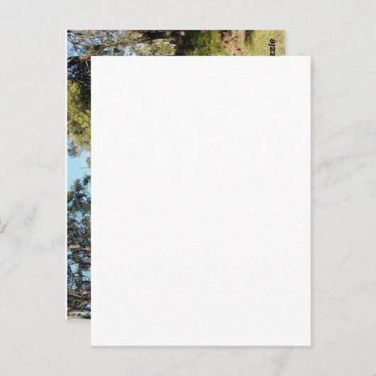 Vorwärts Postkarte (Vorne/Hinten)