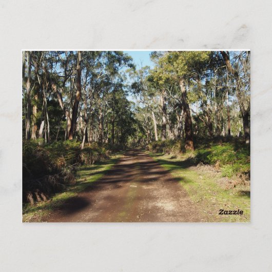 Vorwärts Postkarte (Rückseite)