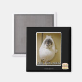 Vorwärtsfahrt mit voller Geschwindigkeit Magnet (Vorderseite/Rückseite)