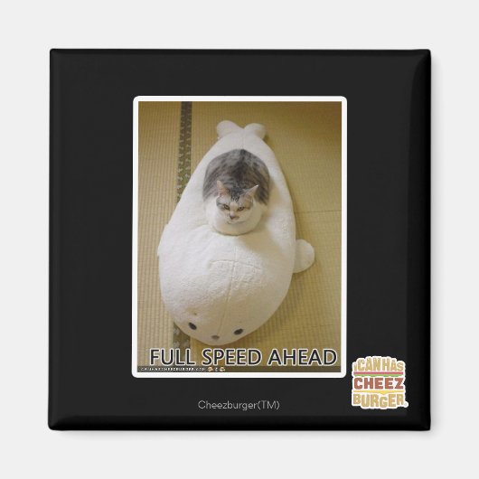 Vorwärtsfahrt mit voller Geschwindigkeit Magnet (Vorne)